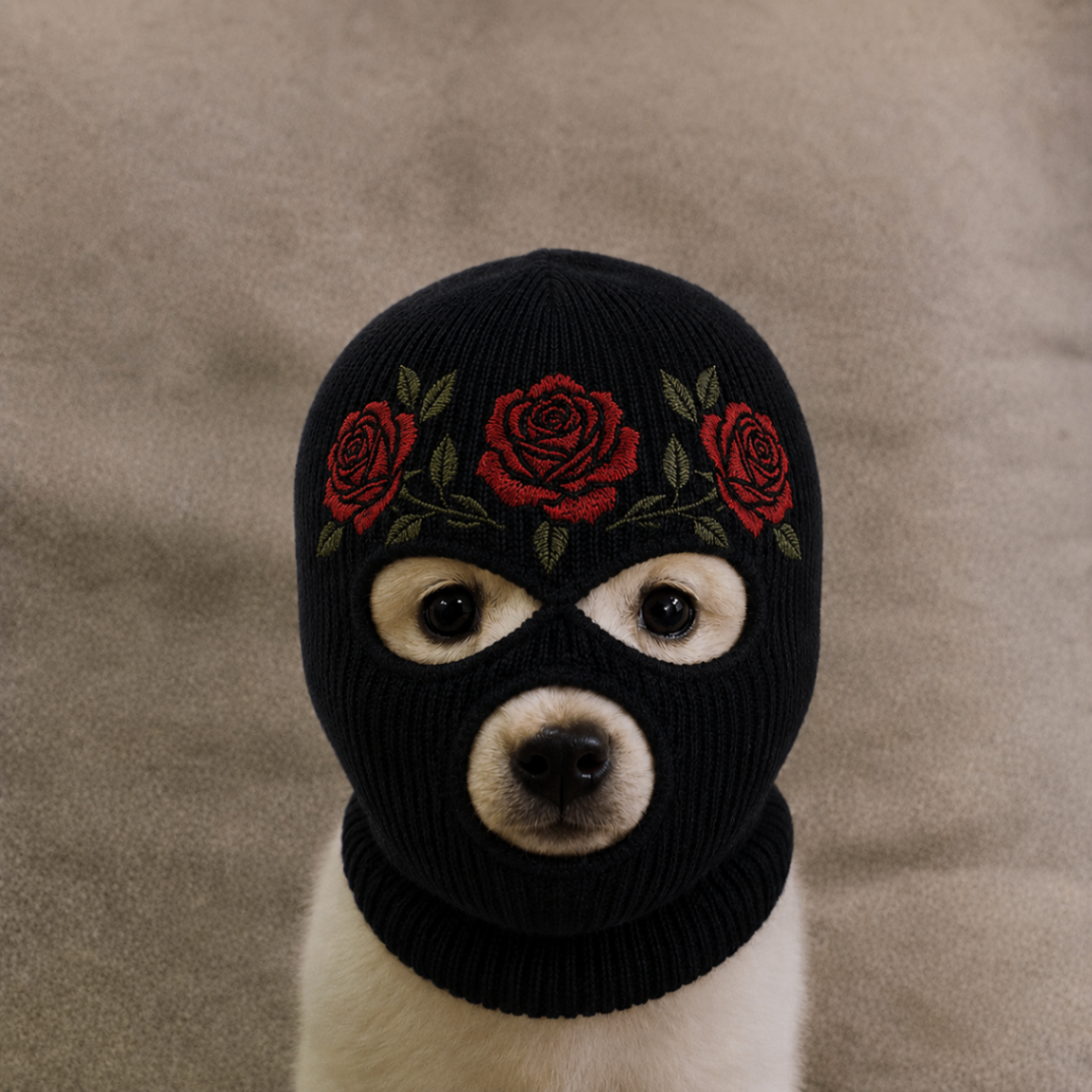 White puppy wearing a black rose ski mask